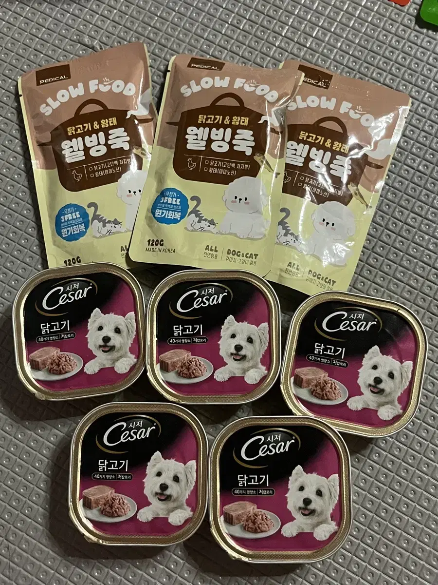 강아지 웰빙죽 시저 캔 일괄판매