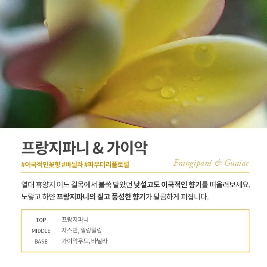 라브아 퍼퓸 제습제(올리브영)