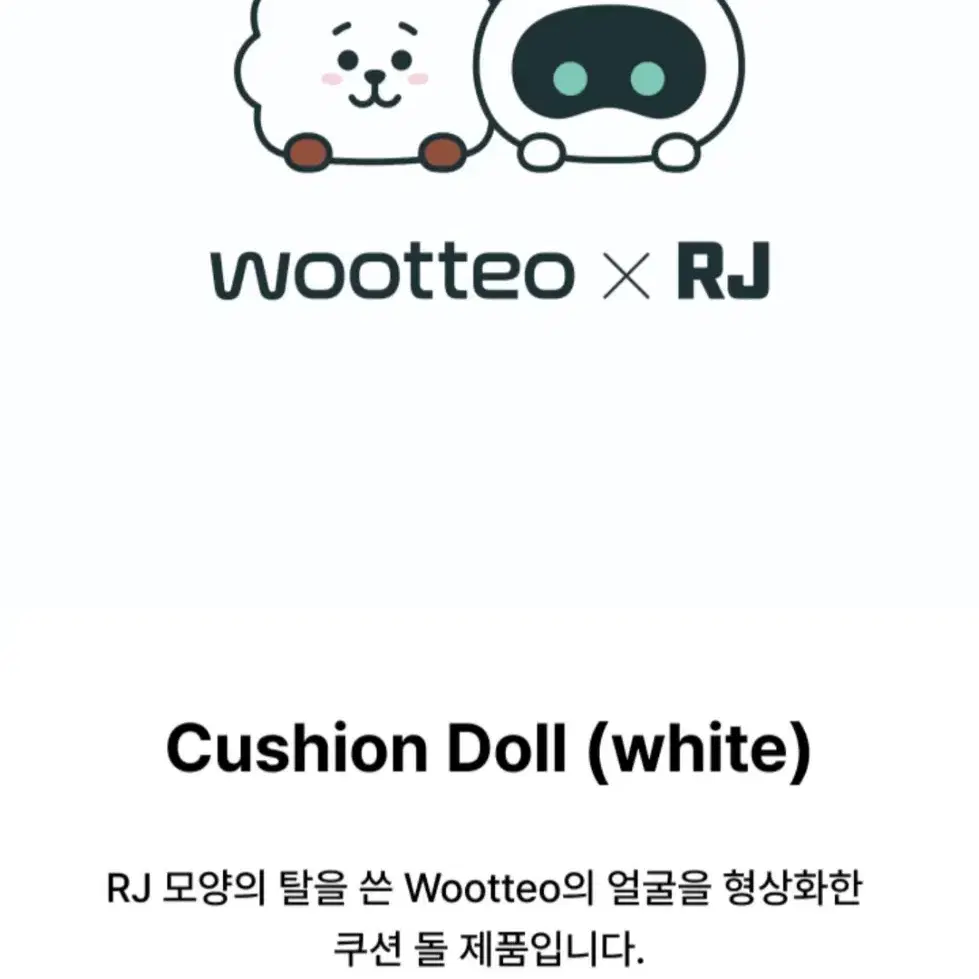 BTS 방탄소년단 Jin Wootteo 우떠 알제이 쿠션 Cushion