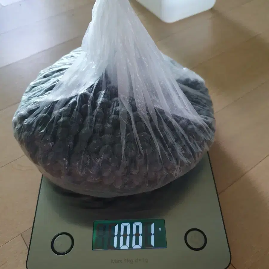 검정콩 1kg