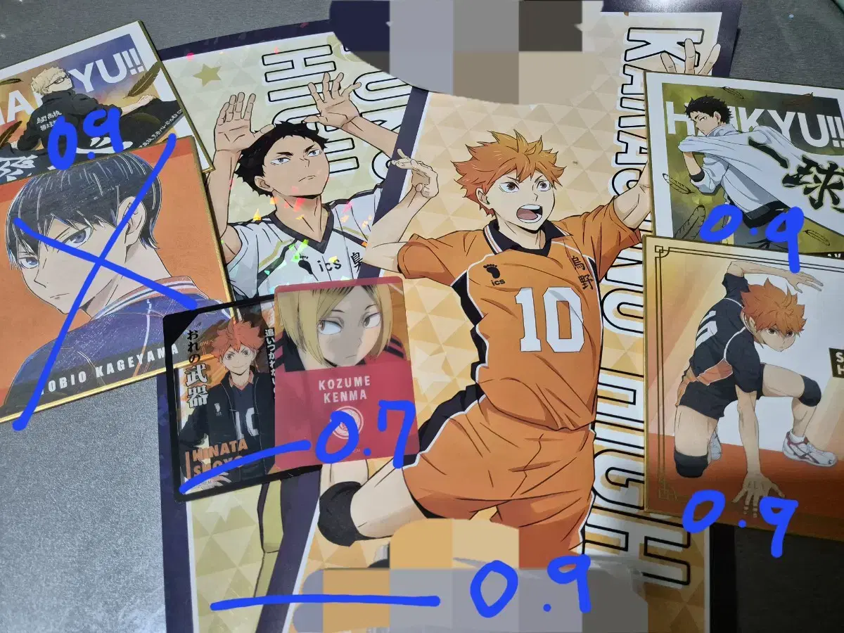 Haikyuu Goods Disposal Cost WTS