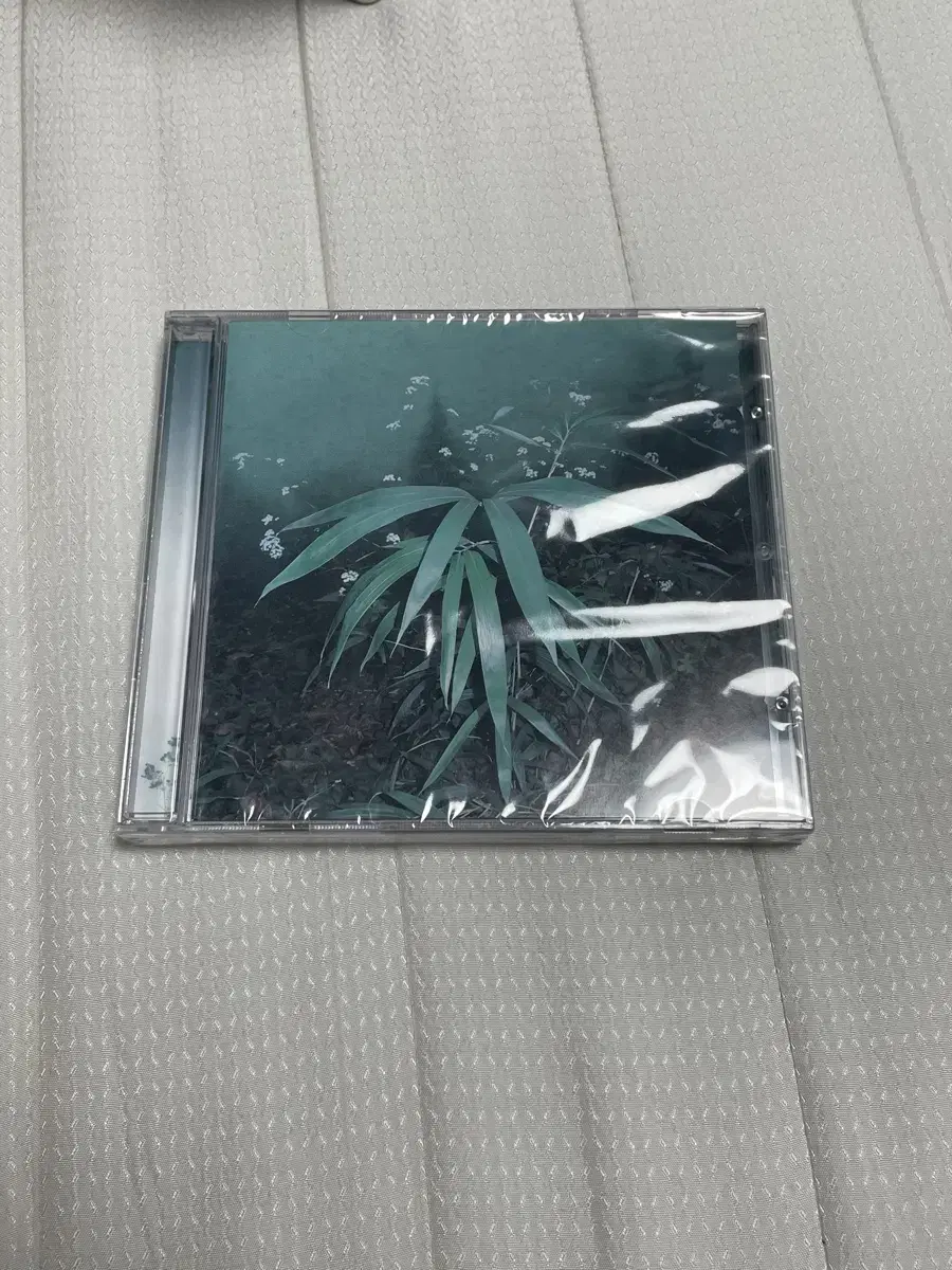 신해경 cd