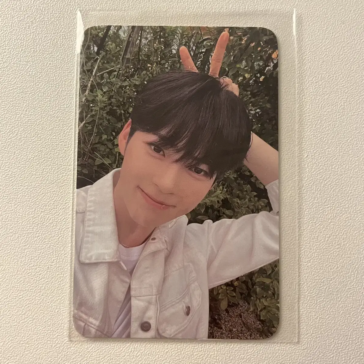 Zerobaseone sung hanbin bunny-eared photocard