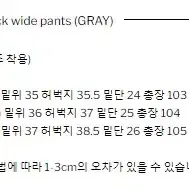 (디아더사이드) 넬슨 핀턱 와이드 팬츠 (그레이) L 사이즈