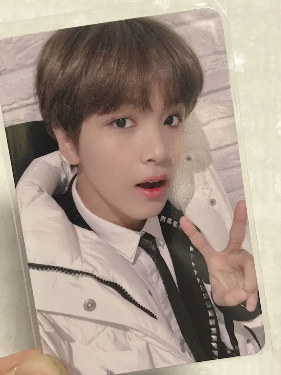 Padding haechan dreamshow photocard wts!