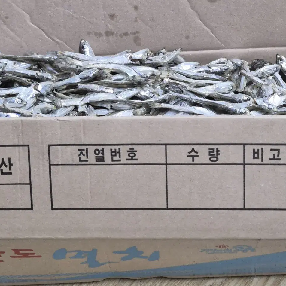 최상급 남해안 고바 주바 고주바 멸치 중멸치 1.5kg /1박스