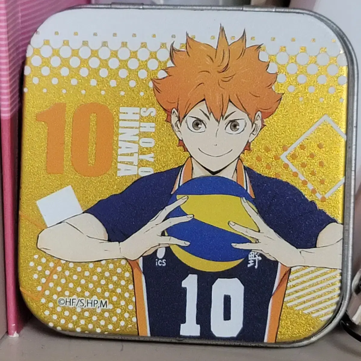 Hinata Soyo Pin Case