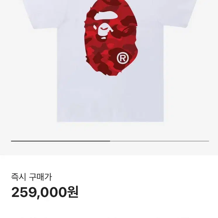 베이프 BAPE 희귀 빅 카모 반팔 레드 양면 프린팅 L