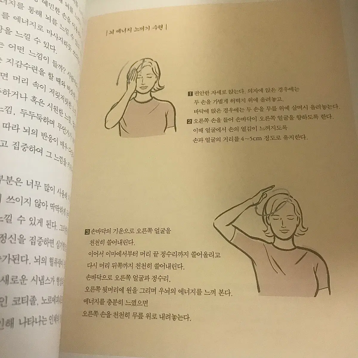 단월드 뇌호흡 책 2권