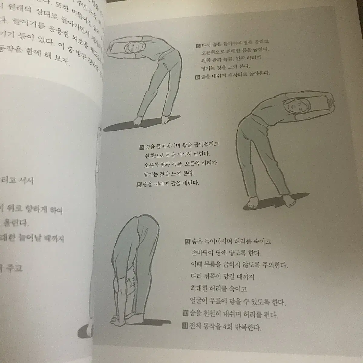 단월드 뇌호흡 책 2권