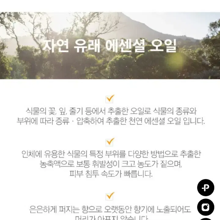 탄 오리엔탈 에센스 오일 방향제