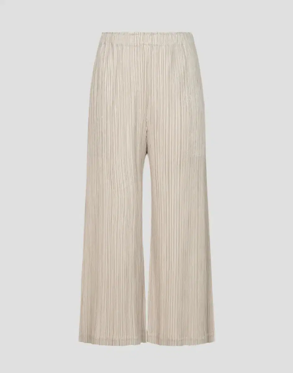 Issey Miyake Pleated Pants Seeker Bottom1 Wide Pants Light Beige 3