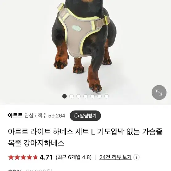 아르르 강아지 전용 하네스