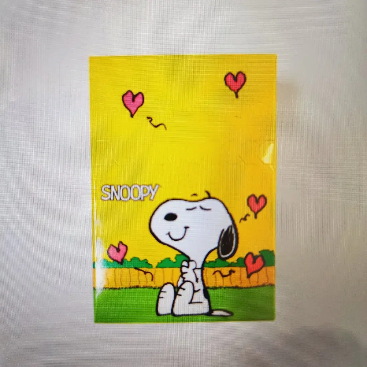 SnoopyCupFigure/SnoopyFigure/CupFigure/Snoopy/SnoopyLandomFigure