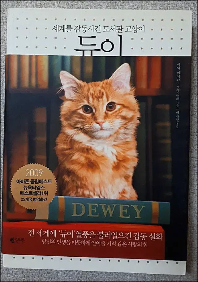 감동실화 따뜻한 책 듀이