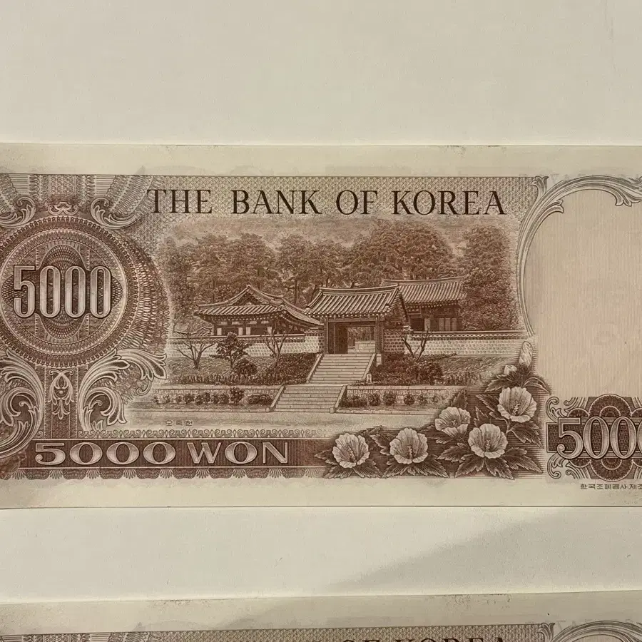 2차 오천원 5000원(사용제)