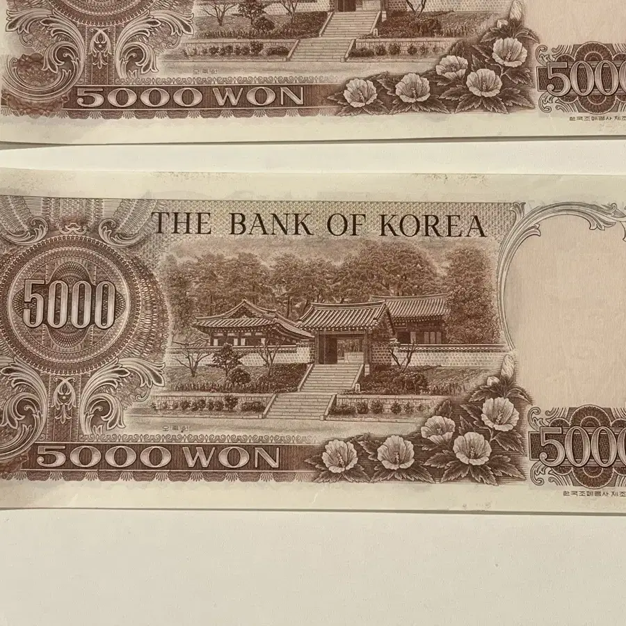 2차 오천원 5000원(사용제)