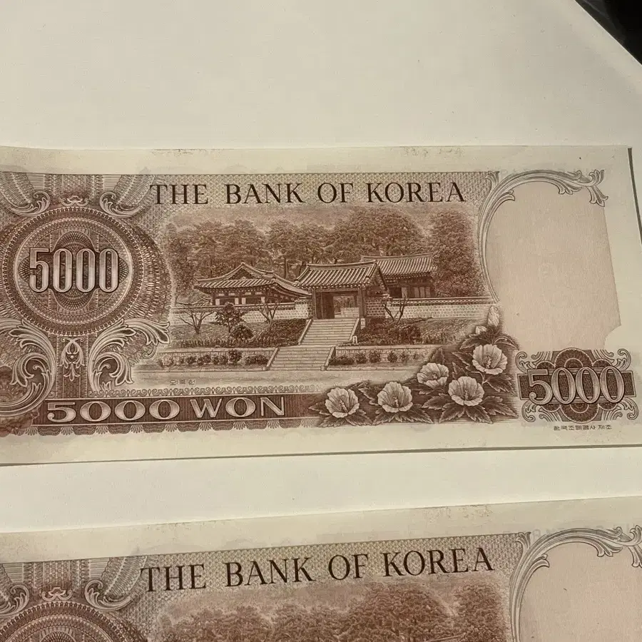 2차 오천원 5000원(사용제)