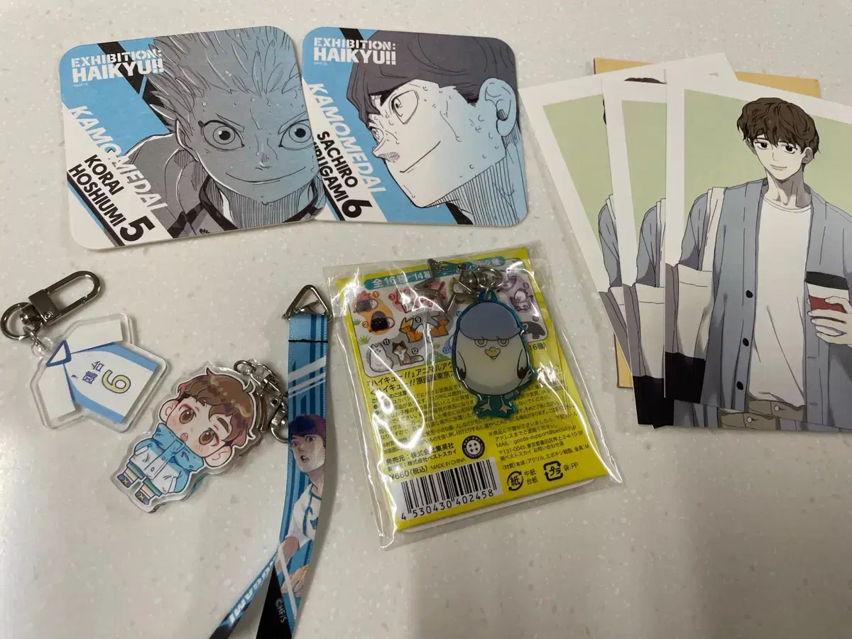 Haikyuu Hirugami Sachiro Goods in Bulk