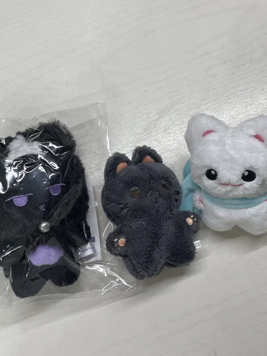 monsta x doll nyangkyun wonchae wts lim changkyun chae hyungwon