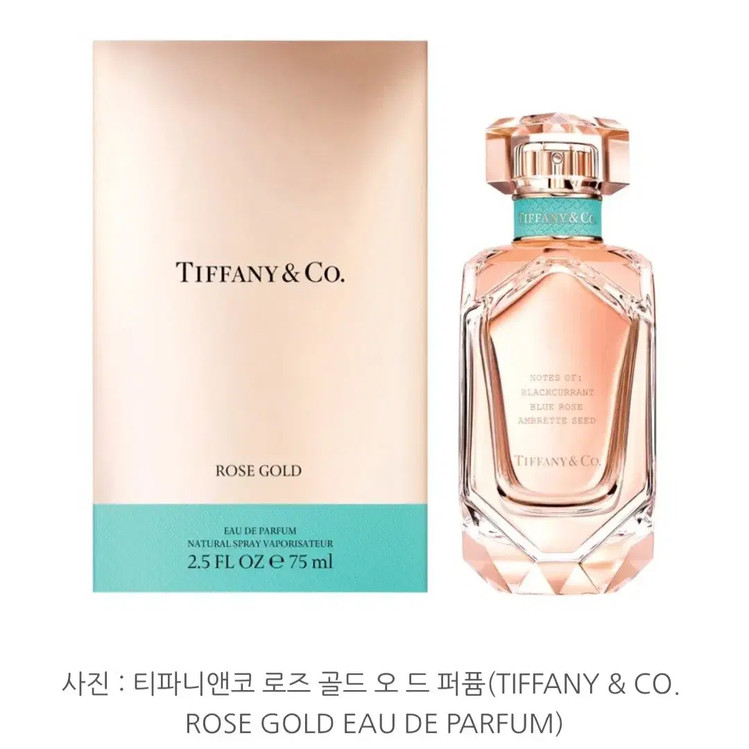 티파니앤코 향수 75ml 2.5온스