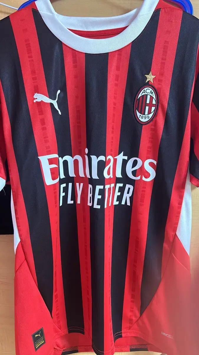 AC Milan 24-25 Season Shirt