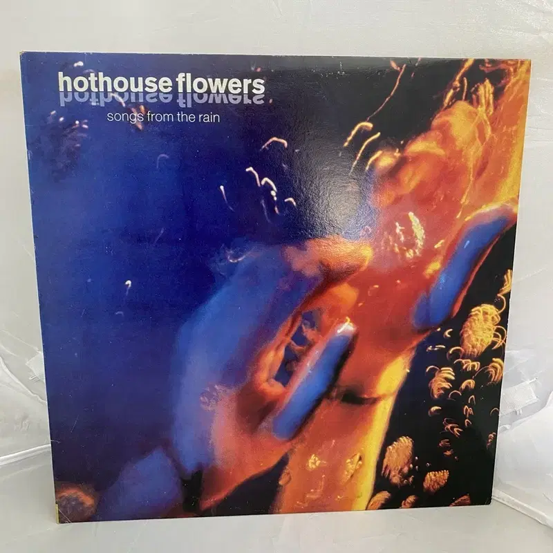 HOTHOUSE FLOWERS LP / AA2756