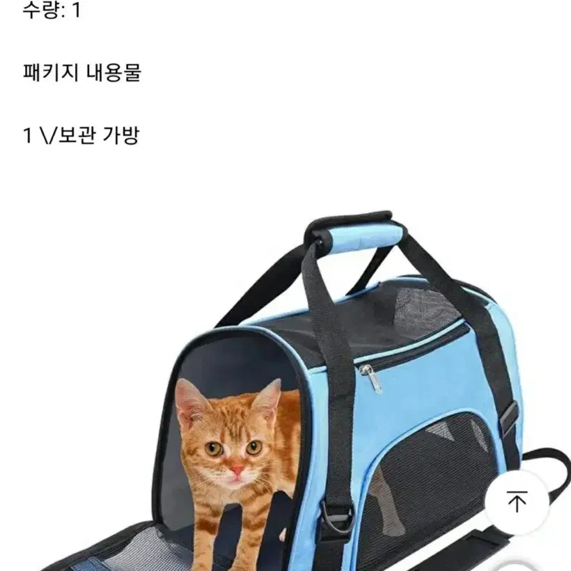 고양이 이동가방