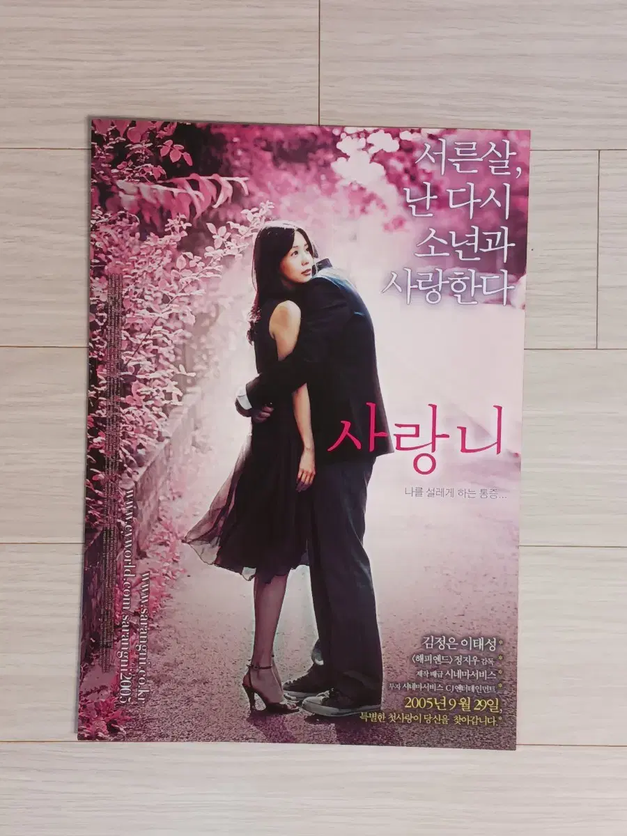 김정은 이태성 사랑니(2005년)전단지