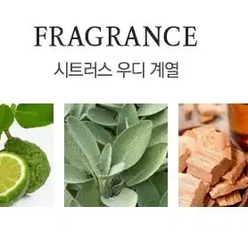 랄프로렌폴로 어스 프로빈셜 세이지 EDT 100ml