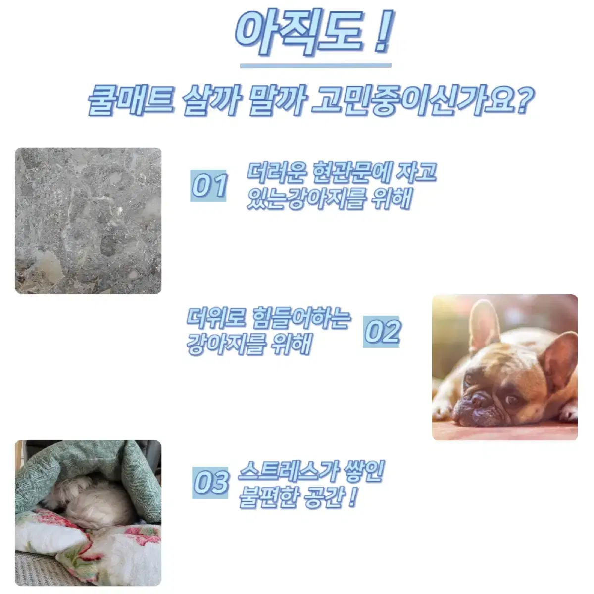 [올여름 시원하게] 텐펫 강아지 쿨매트 고양이 아이스방석 팔아요