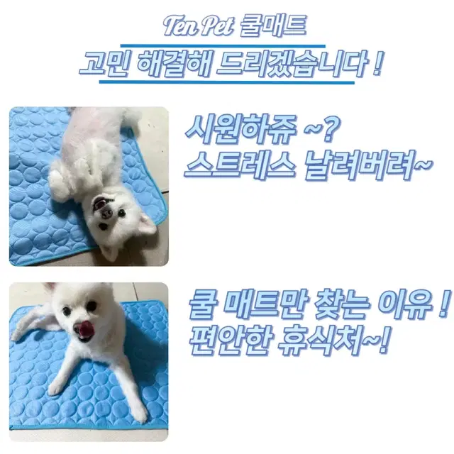 [올여름 시원하게] 텐펫 강아지 쿨매트 고양이 아이스방석 팔아요