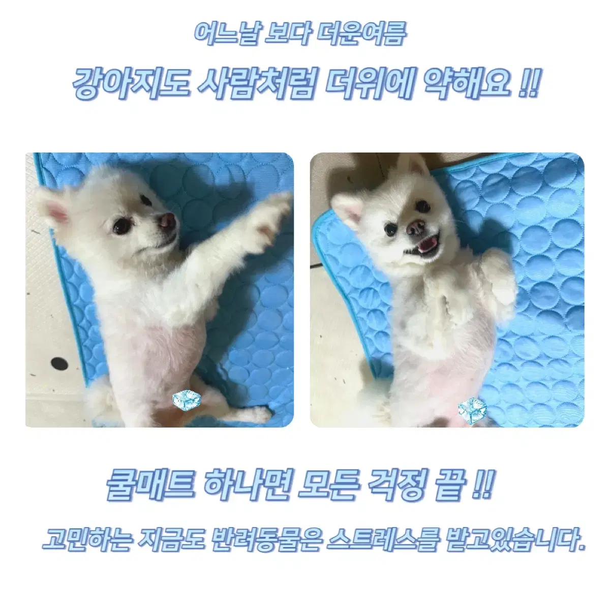 [올여름 시원하게] 텐펫 강아지 쿨매트 고양이 아이스방석 팔아요