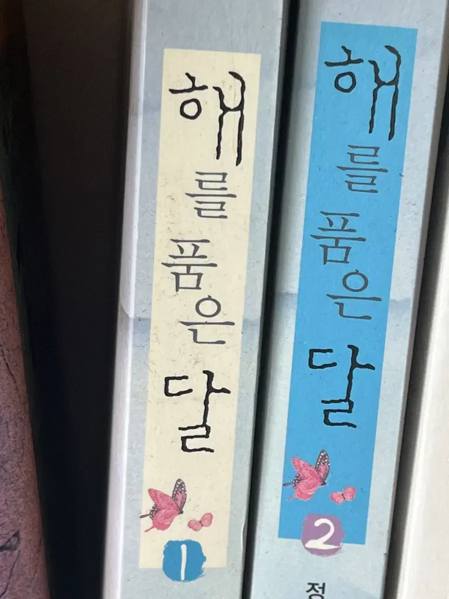 해를 품은 달