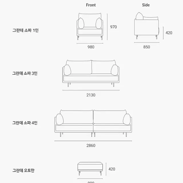 잭슨카멜레온 소파