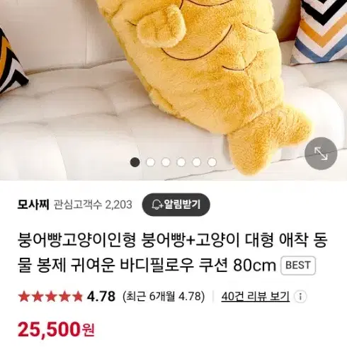 붕어빵 대형고양이인형