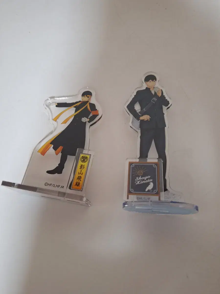 Tobio Kageyama Goods in Bulk