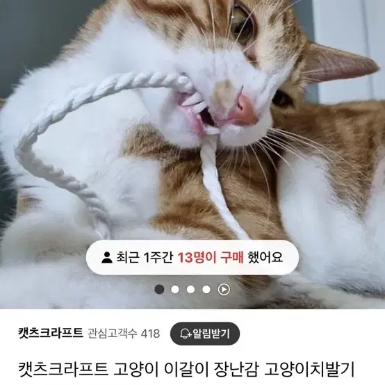 고양이 이갈이 장난감