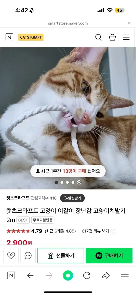 고양이 이갈이 장난감