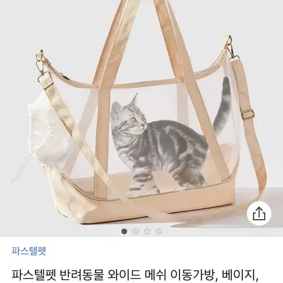 반려동물 이동가방