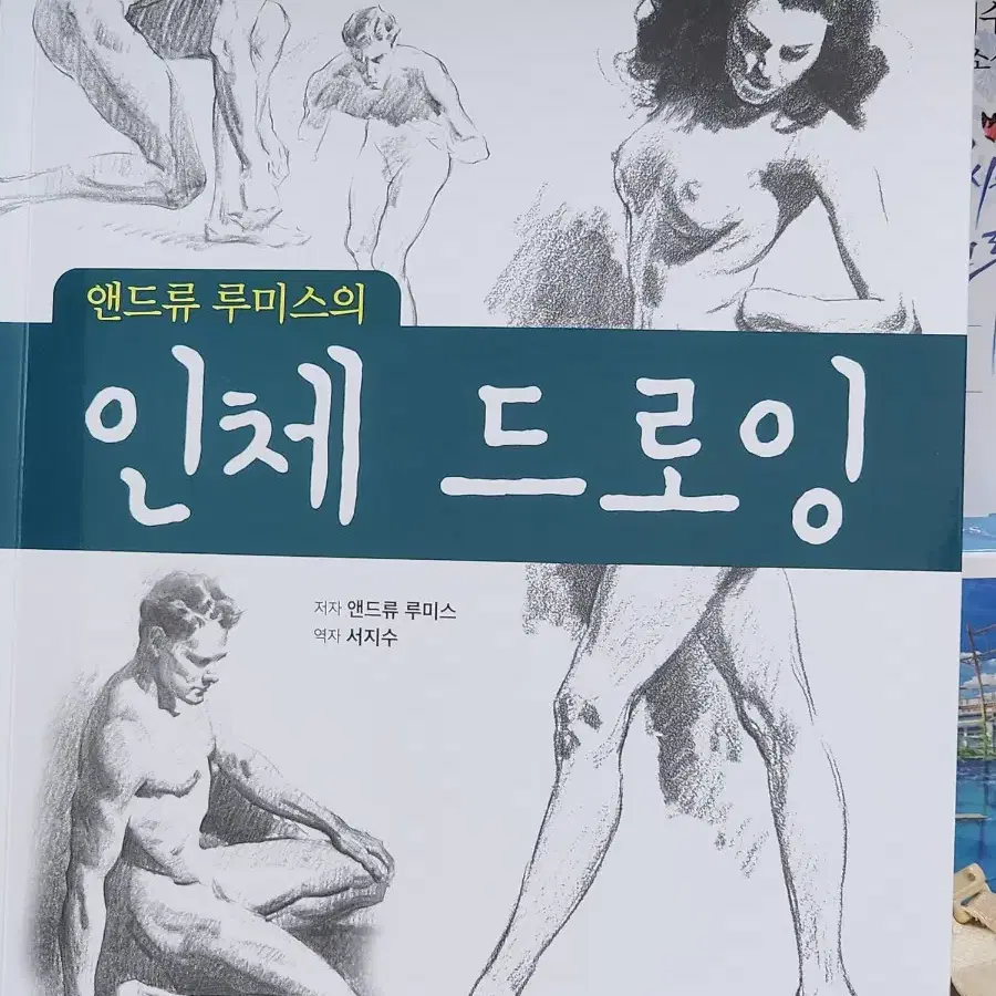 앤드류 스미스 인체드로잉 책