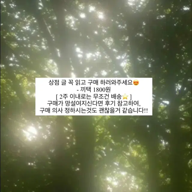 제베원 성한빈 교복 멜팅포인트 포토카드 양도 ) 급처