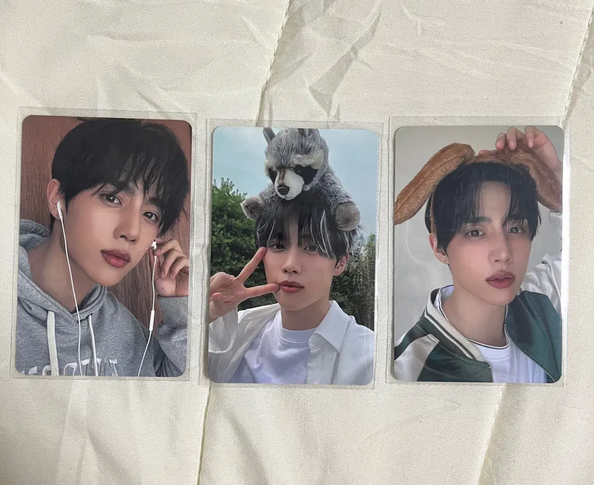 The Boyz sunwoo Healing Bird Photocard