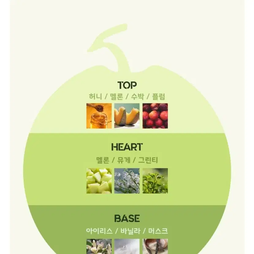 리얼 멜론 향수 네이처퓸 텀블벅 구어망드 달달한 프루티 여름 향수