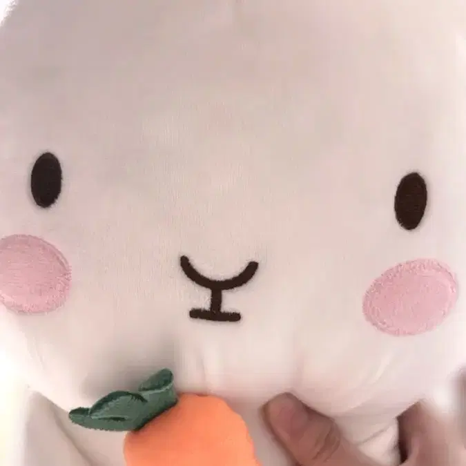 당근 토끼 인형 팔아요