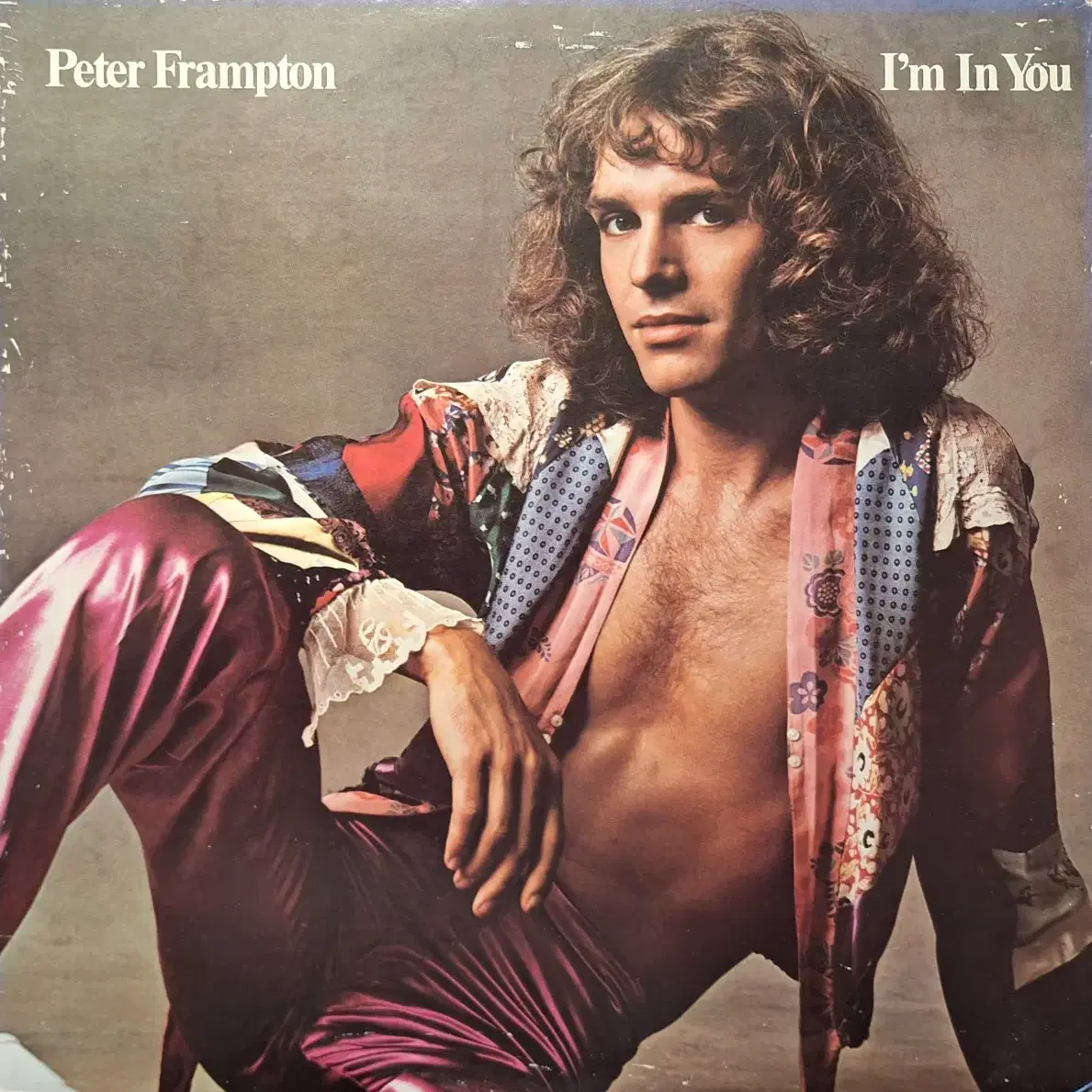 수입반/Peter Frampton - I'm in you LP