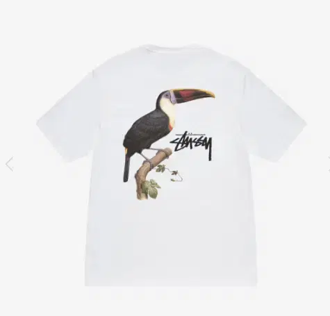 Stussy Tucan XL