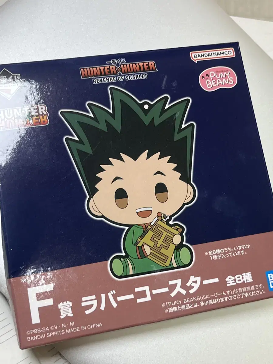 HunterHunter gon Coaster First Lottery