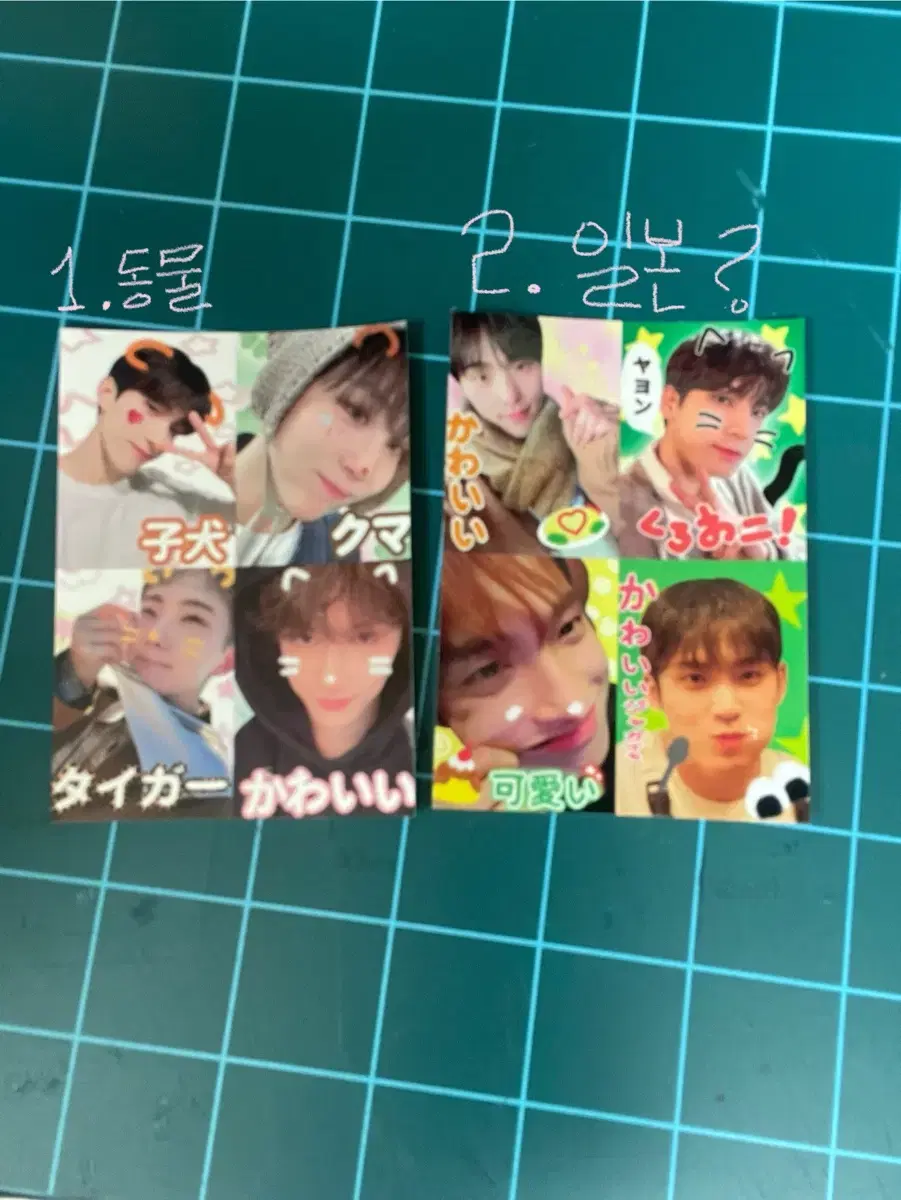 [price reduced]Seventeen Purikura