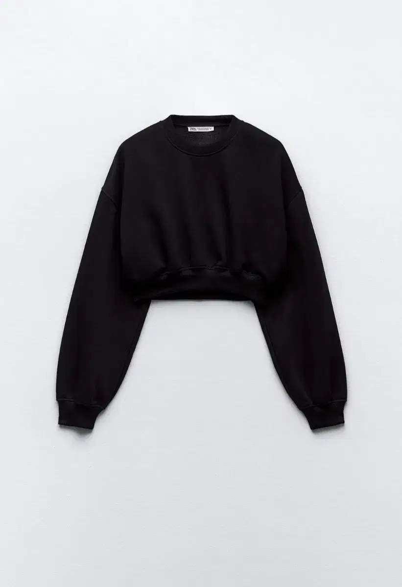 (First-come, first-served) ZARA Basic Crop Sweatshirt